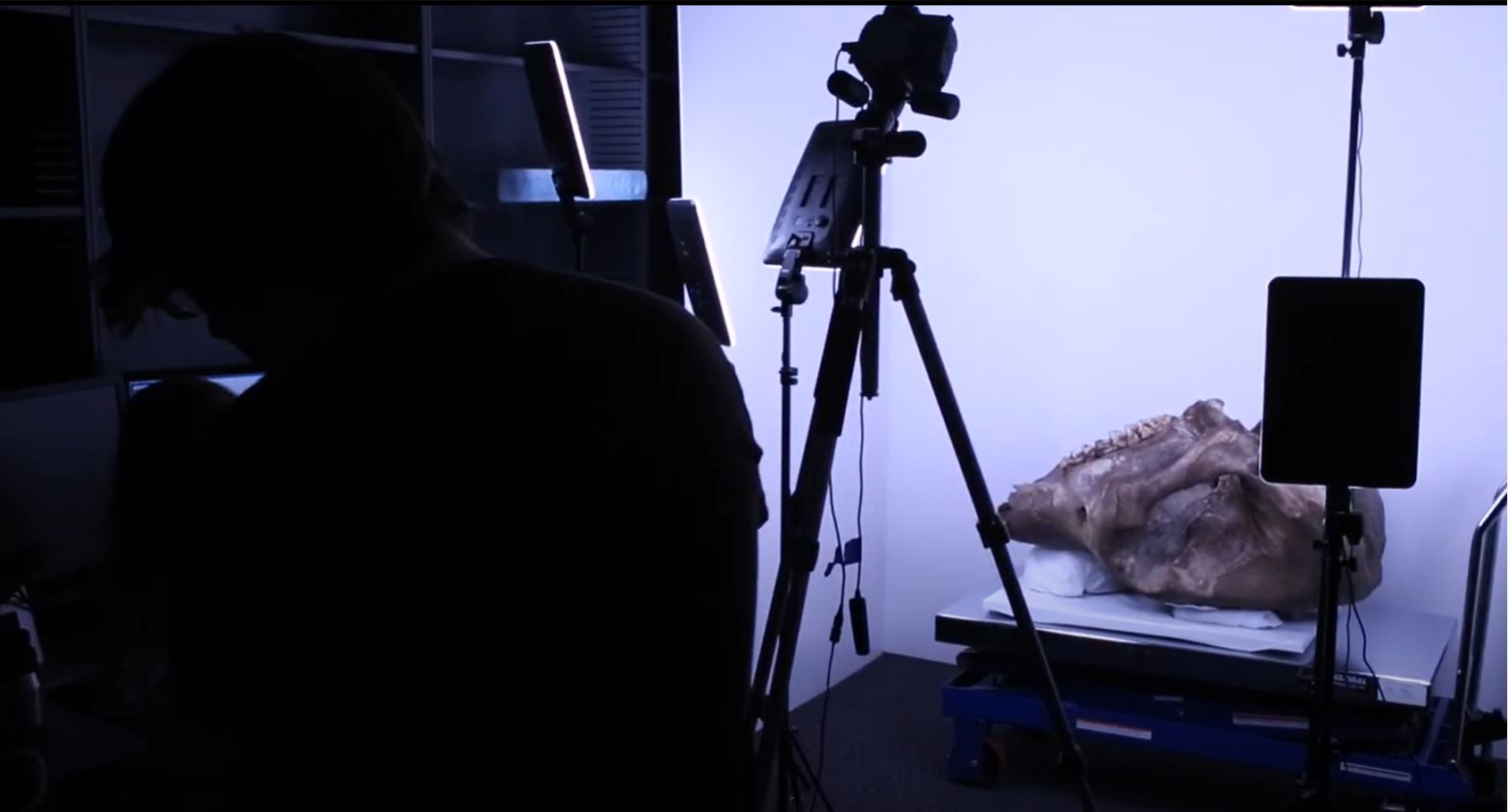 A YouTube video from the University of Michigan College of Lierature, Science, and the Arts that showcases how students used photogrammetry to further paleontological research. Professors and students provide examples including how 3D scanning was used to create and print models of missing animal skeletons.