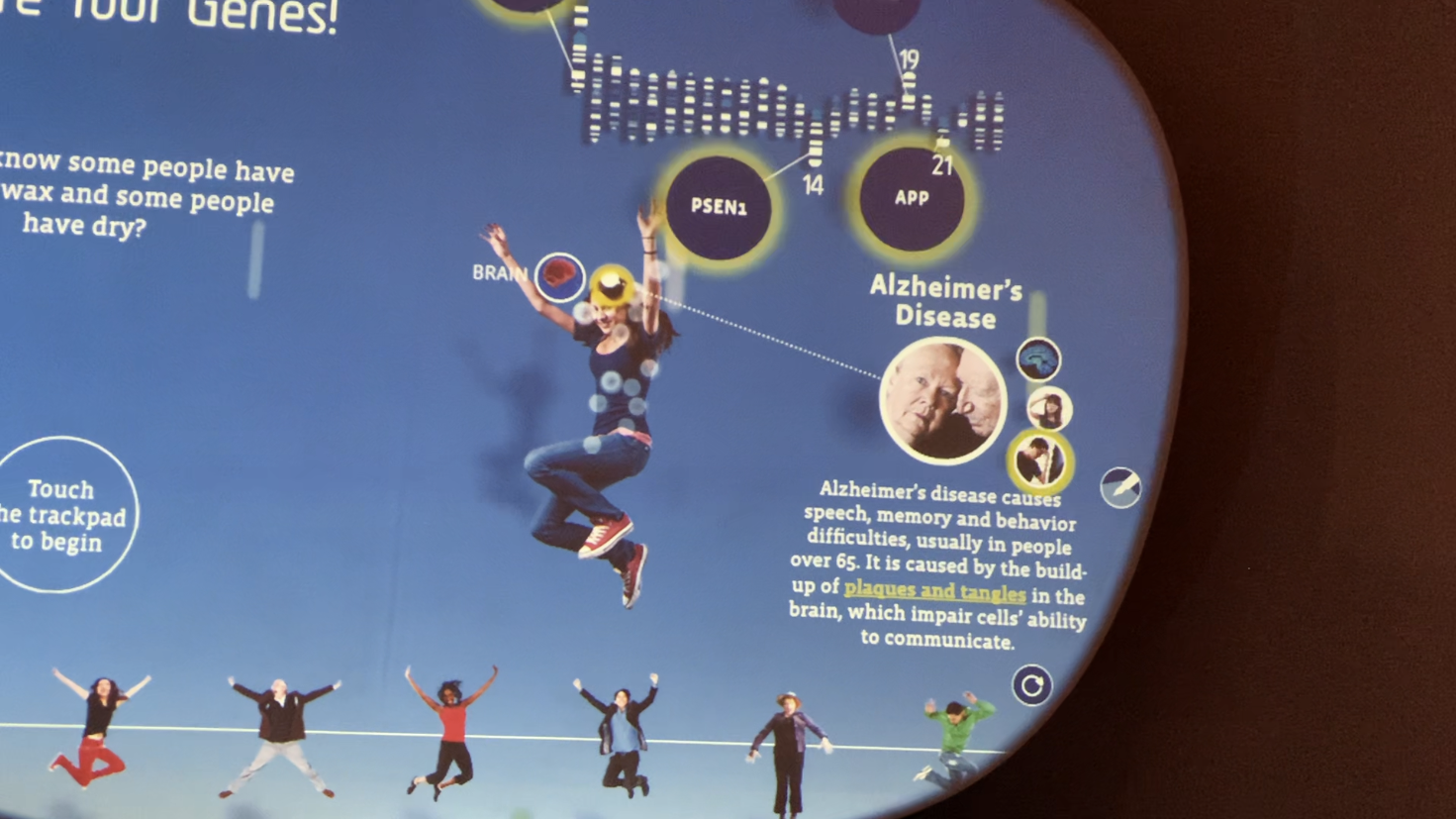 The author demonstrates the *Explore Your Genes* interactive in the *Genome* exhibit at NMNH.