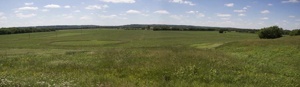 A photograph of a grassy field. Upon close inspection tall circles of grass can be seen scattered throughout the short trimmed grasses. These tall grasses mark the locations of former mound sites which are now absent from the terrain.